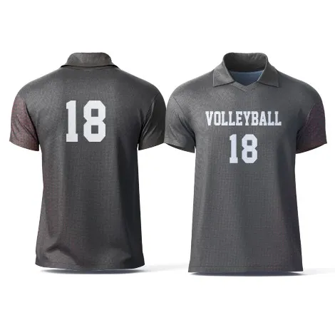 オリジナルデザインバレーメンズシャツ Tシャツ